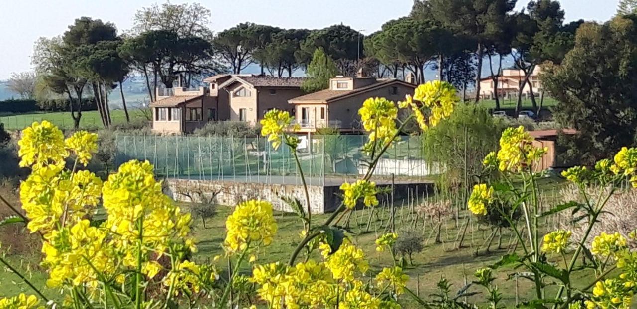 La Casa Nella Prateria Bed and Breakfast Misano Adriatico Eksteriør billede
